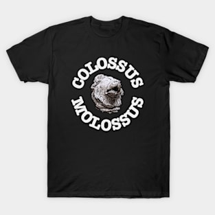 Colossus Molossus - Molossian Hound Dog T-Shirt